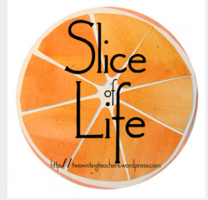 slice of life
